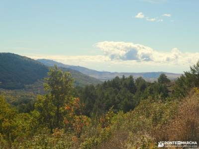 Valle Hermoso - Pinar del Espaldar; camino puricelli valle del alberche ruta de los pescadores ruta 